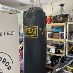 Everlast Heavy Bag With Chains 