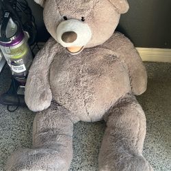 Brown Bear
