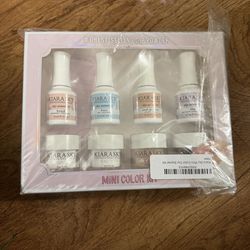 Kiara sky dip powder kit