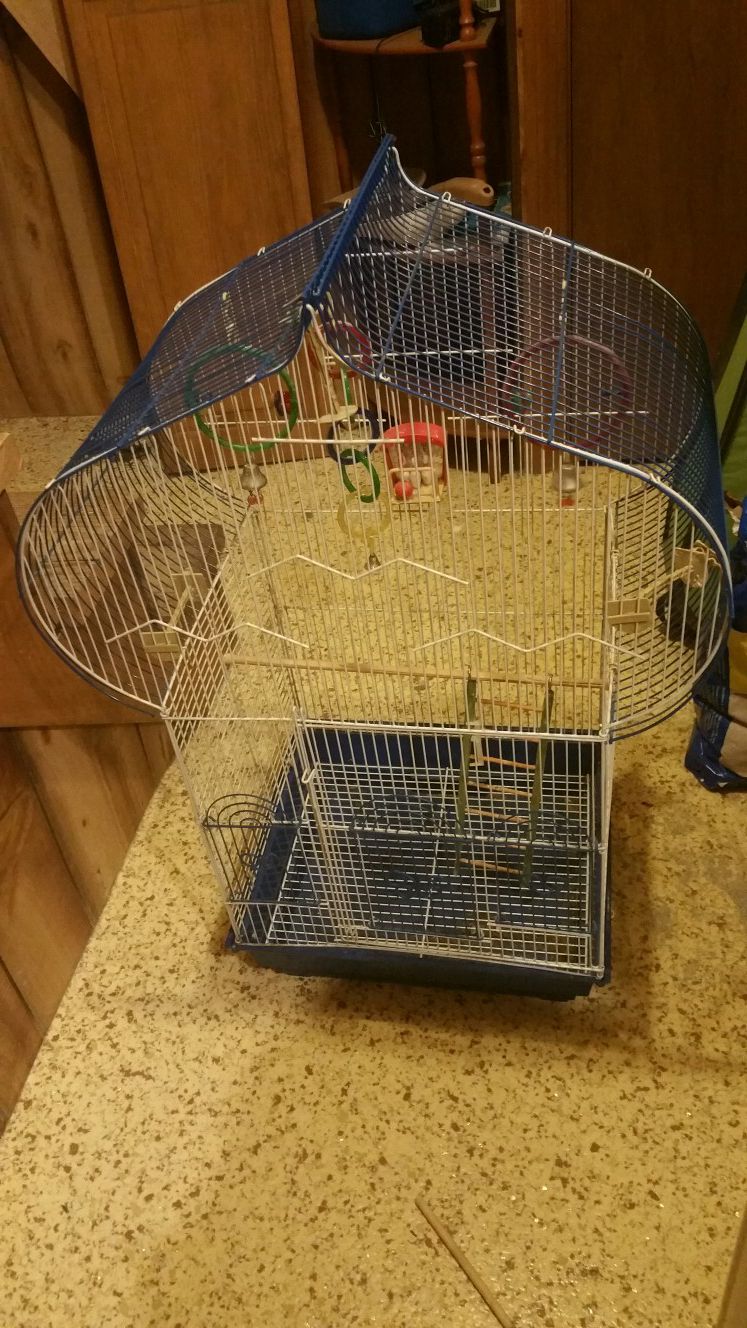 For Sale or Trade - Tall Bird Cage