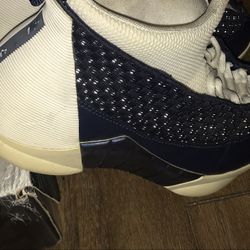 Air Jordan XV