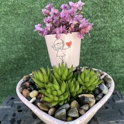 ❤️ Ceramic Heart Shaped Bowl With Succulents ❤️