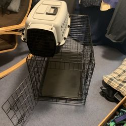 Puppy/Dog Training Supplies. 