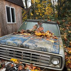 1980 Dodge Ramcharger Project