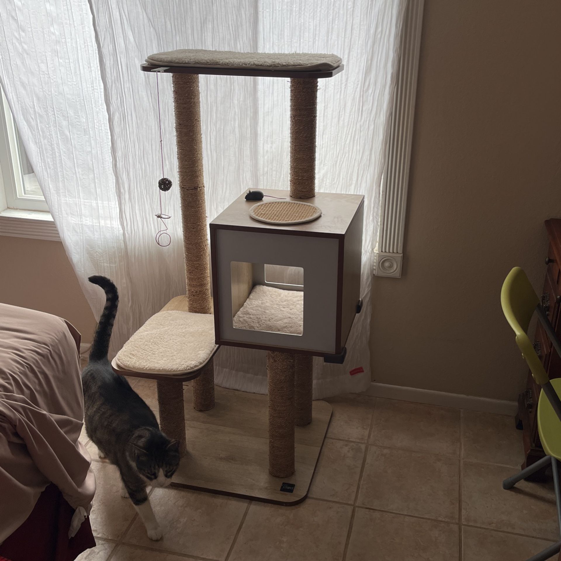 Cat Tower Vesper