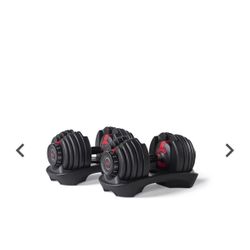 BowFlex SelectTech 552 Adjustable Dumbbells   Brand new in the box                         BowFlex, dumbbells, gym, exercise, equipment,new