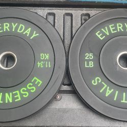 PAIR OF  NEW 25 POUND  OLYMPIC BUMPER  PLATES   •  Also have  35lb.  Bumper Plates