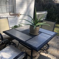 AloeVera 