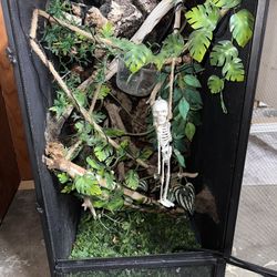 Reptile Cage 