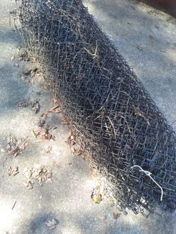 5 Ft Tall 50 Ft Roll Wire
