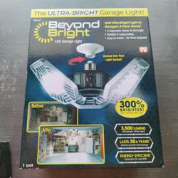 Light bulbs