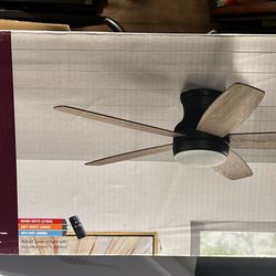 Never Used Home Decorators Ceiling Lamp