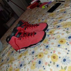 Air Jordan's 6 Toro Bravo