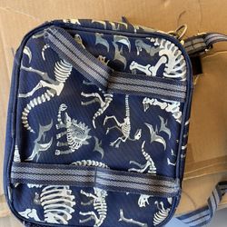 Pottery Barn Boys Lunch Bag 