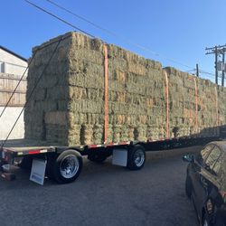 GREEN ALFALFA/ HAY We Can Deliver 