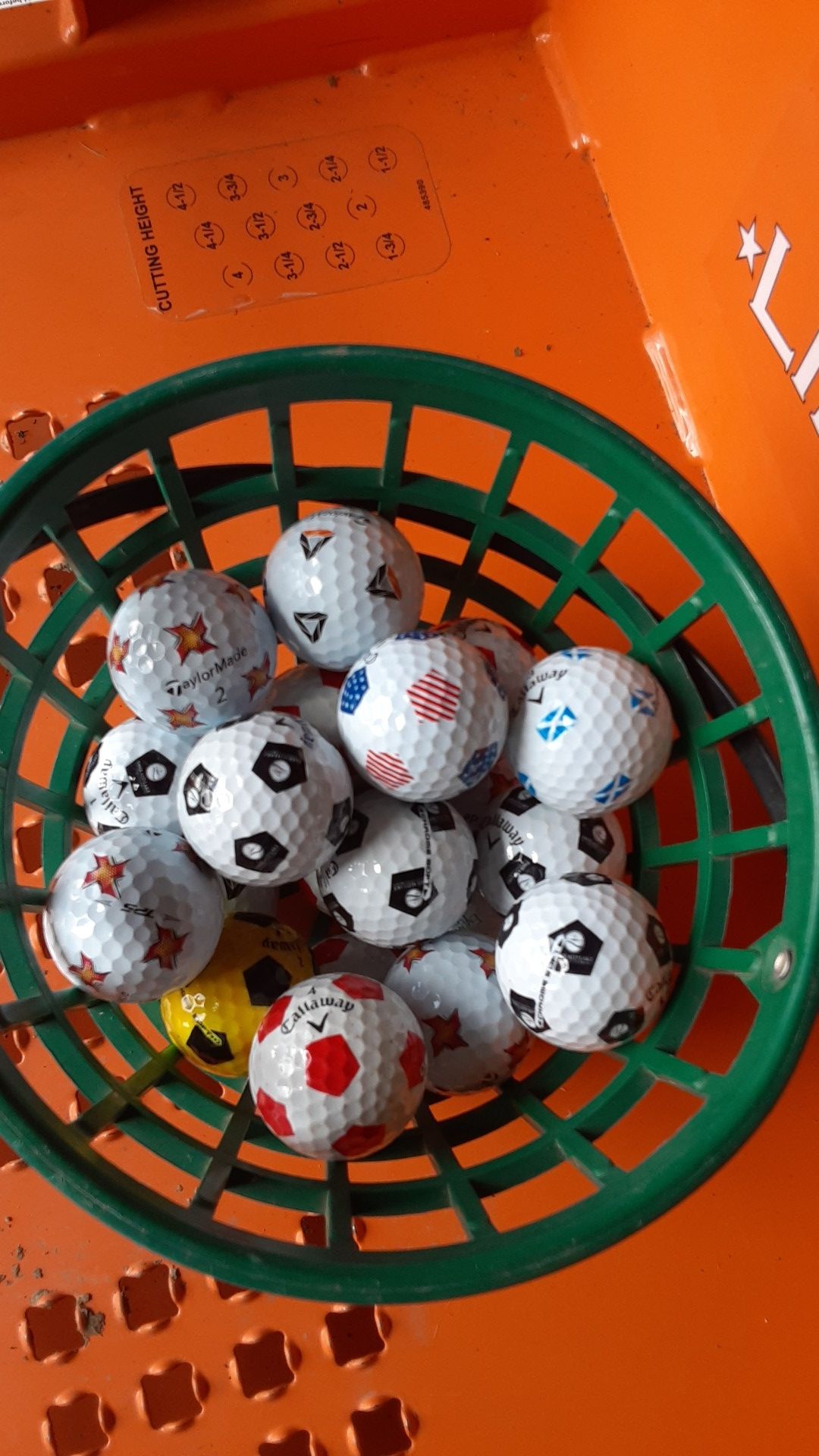 Soccer ball golf balls
