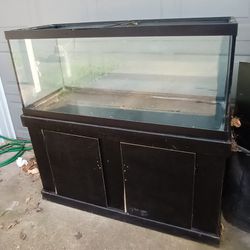 100 Gallon Fish Tank With Stand