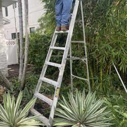 8ft Ladder