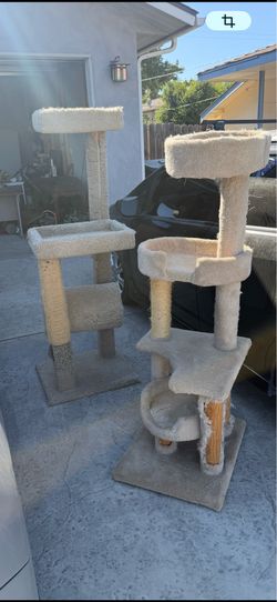 Casita para gatos