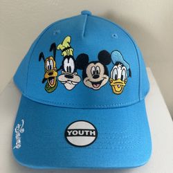 Vintage Mickey And Friends Hat 