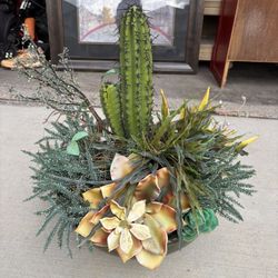Fake Cactus Plant