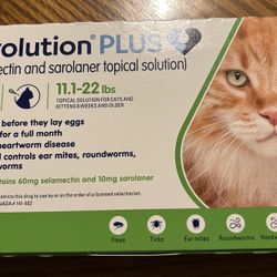 Revolution Plus for Cats 11.1. - 22lbs