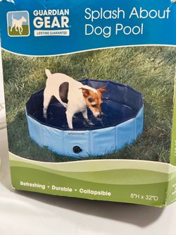 Pool 8”x 32” Dogs/Kids