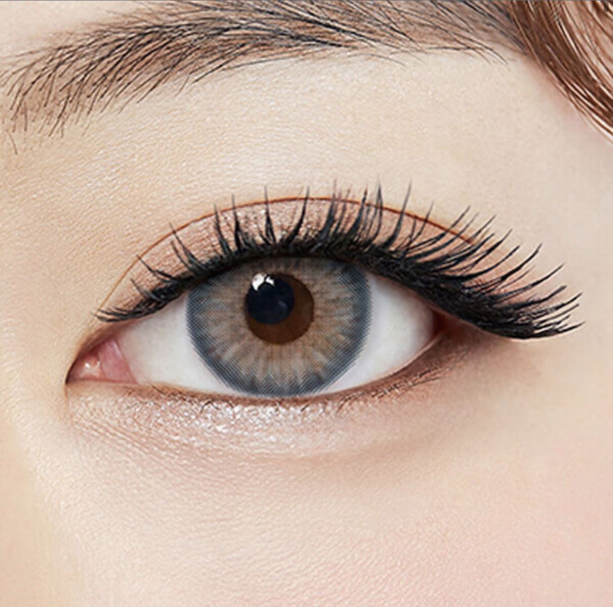 OLENS color contact lens