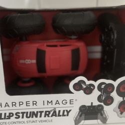 Remote Control Stunt Vehicle