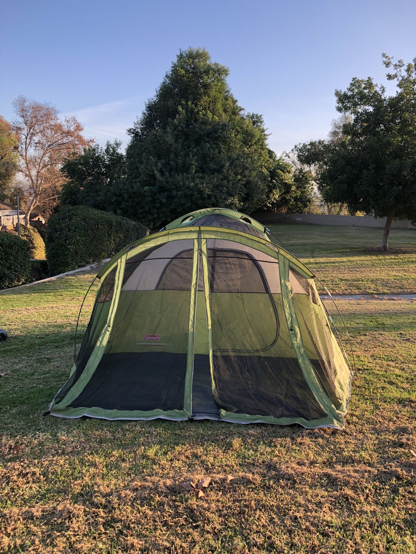 Person Tent Coleman Evanston