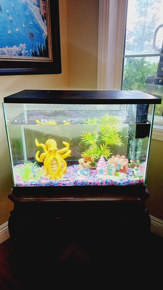 20 Gallons Fish Tank Aquarium