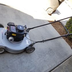 Murray briggs and stratton 300 series hotsell