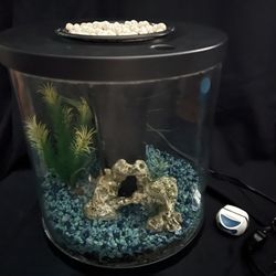 2 1/2 Gallon Hydroponic Aquarium 