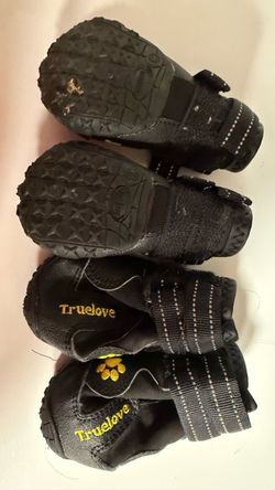 Truelove Dog Boots Set of 4
