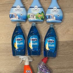 Household Housecleaning Bundle $25