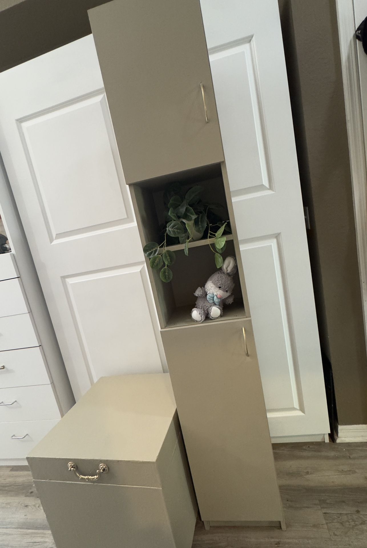 Tall Cabinet and Storage Chest