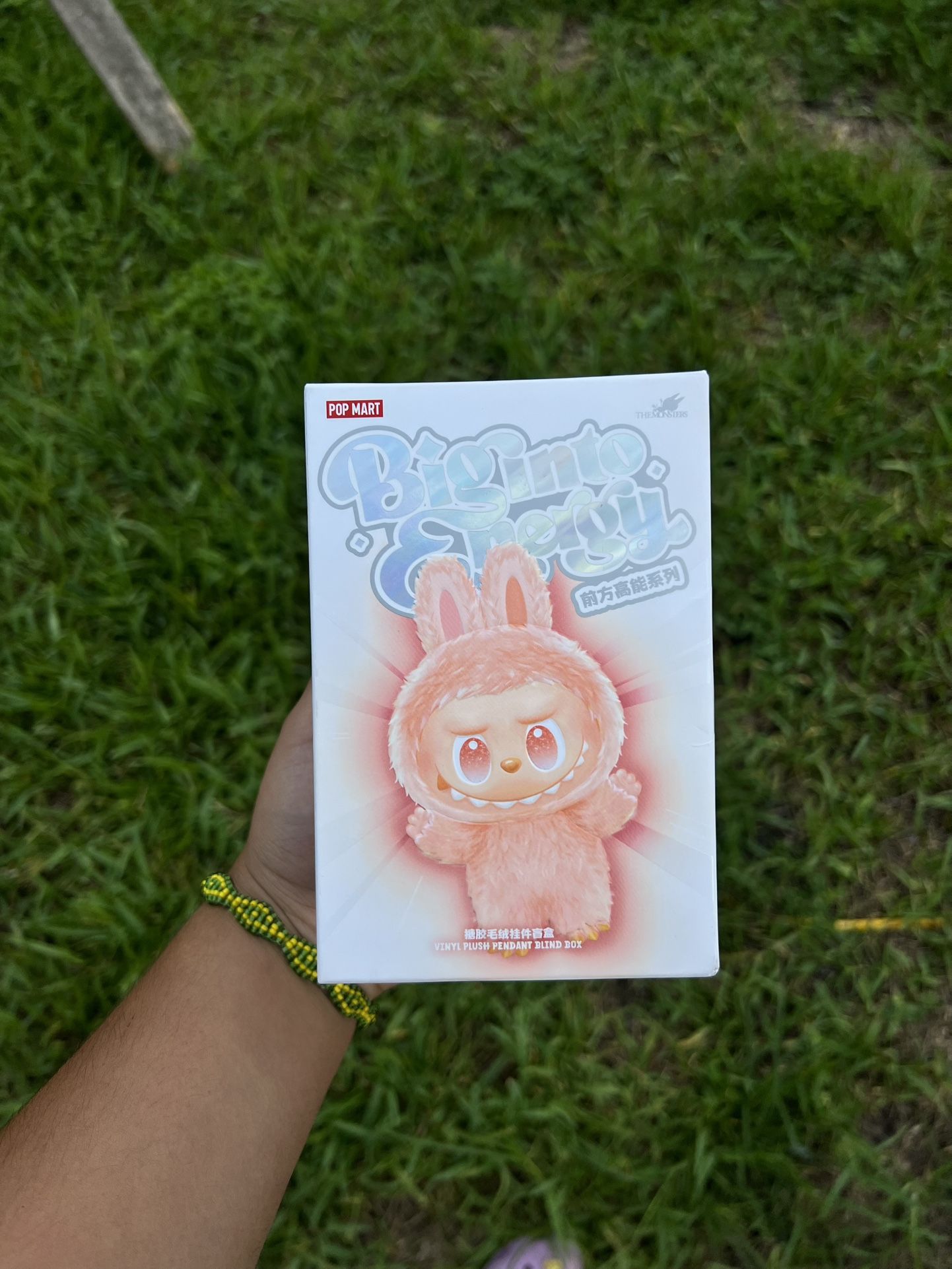 Big Into Energy Labubu