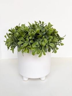 9.75” Tall Artificial Boxwood Plant in White Pot