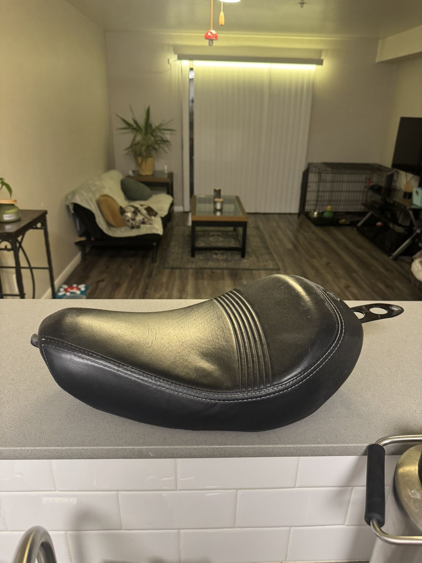 Harley Sportster 48 Riding Seat
