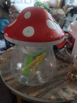 Lady’s bug collector