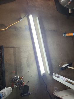 Fluorescent  lights  bulbs