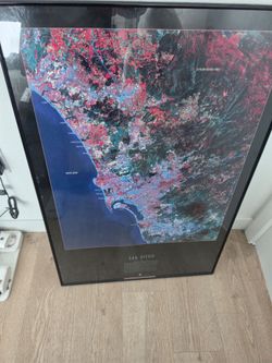 San diego landsat poster framed