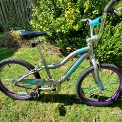 20" Schwinn Kids Bicycle
