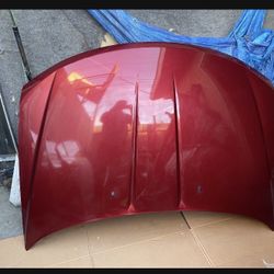 Dodge Journey Hood 09t20 Deep Cherry Red Factory Oem