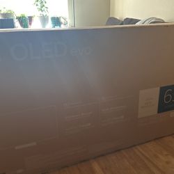 LG Oled Eco 2024 