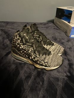 LeBron 17