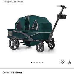 2 Seat Stroller Wagon