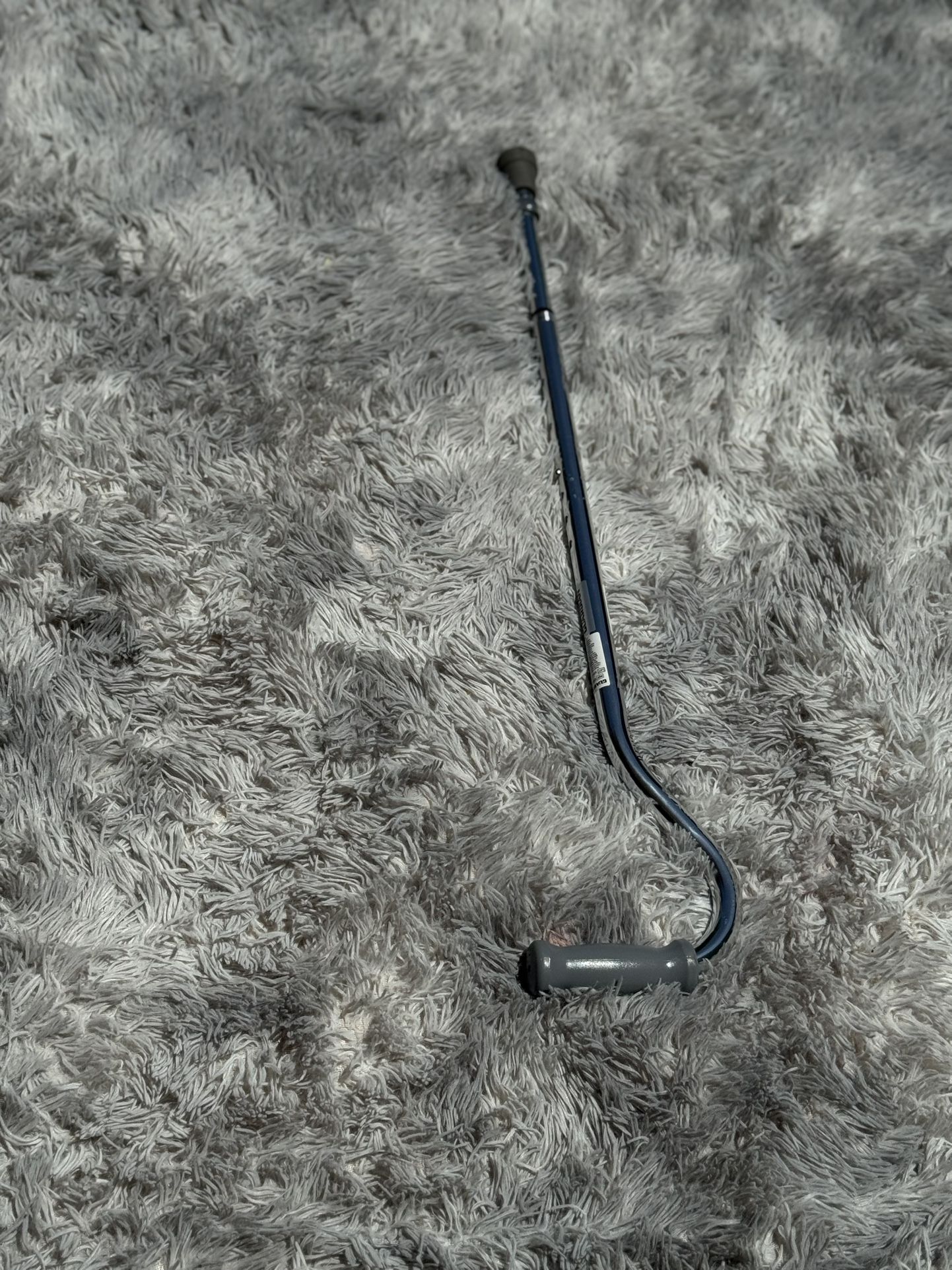 Silver Cane