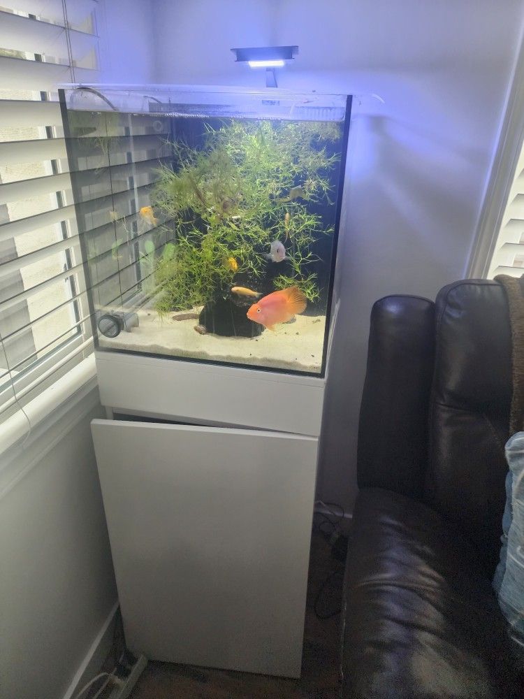Rimless Fish Tank 