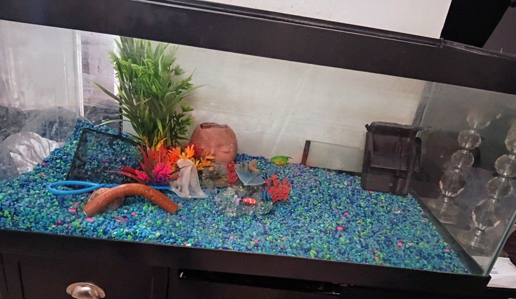 75 Gal Fish Tank